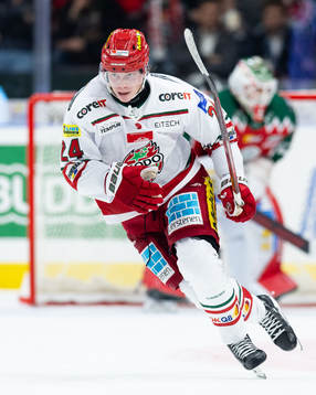MoDos Erik Walli Walterholm