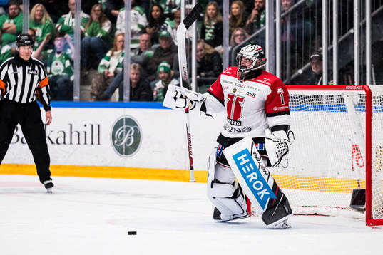 Örebros målvakt Jhonas Enroth jublar