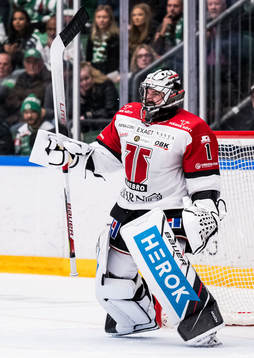 Örebros målvakt Jhonas Enroth jublar