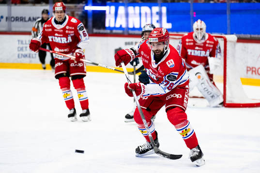 Timrås Robin Hanzl
