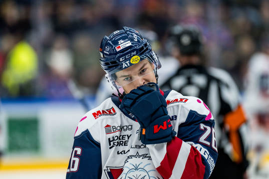 Linköping HCs Fabian Wagner deppar