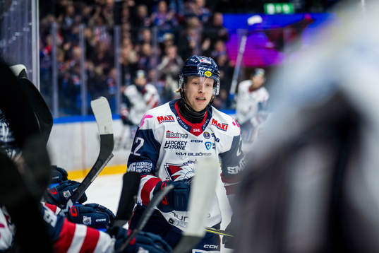 Linköping HCs Vilmos Gallo deppar