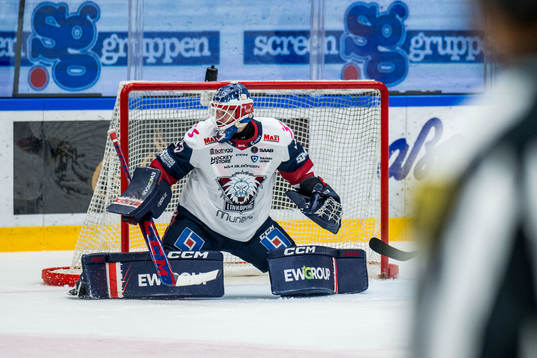 Linköping HCs målvakt Marcus Högberg