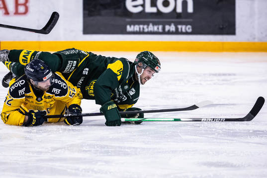 Södertäljes Christopher Liljewall och Björklövens