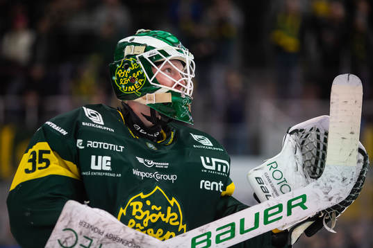 Björklövens målvakt Melker Thelin jublar