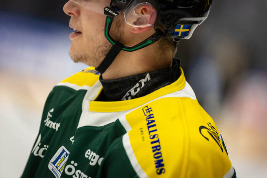 Ett halsskydd