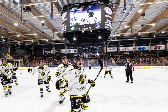AIKs Arvid Degerstedt jublar