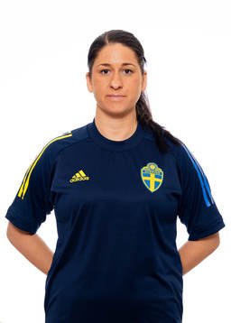 Sara Olsson, Analytiker/tränare