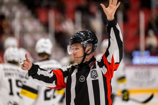 Domare Filip Sandstedt