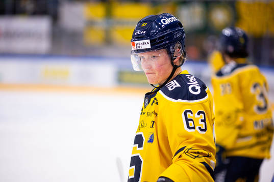 Södertäljes Julius Bergman