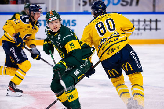 Björklövens Liam Dower Nilsson