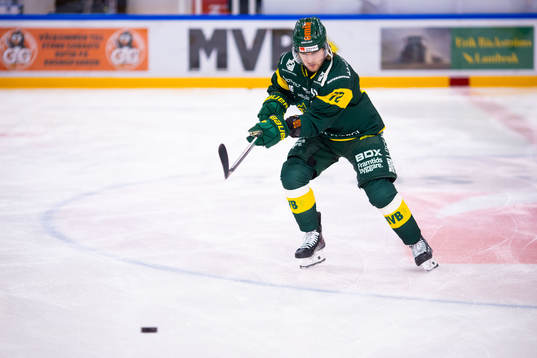 Björklövens Nicolai Meyer