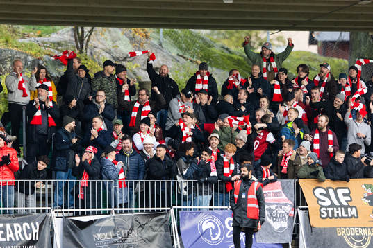 Supportrar till Sandvikens