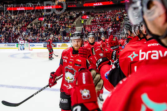 Malmö Redhawks Joakim Ryan jublar