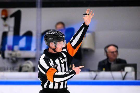 Domare Alexander Österberg tecknar för hög klubba