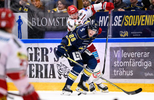 MoDos Theodor Niederbach och HV71s Tommi Tikka