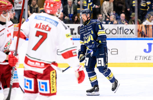 HV71s Anton Strålman deppar