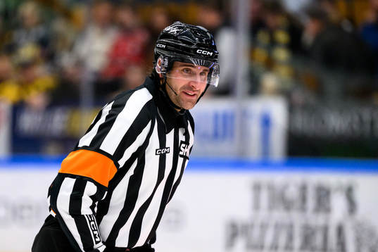 Domare Mikael Sjöqvist