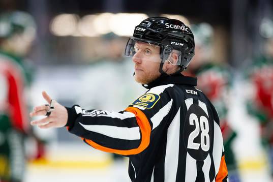 Domare Mikael Holm