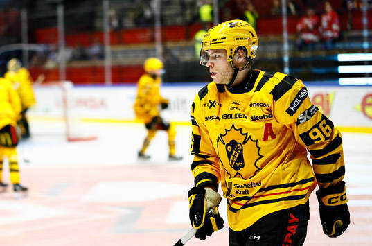 Skellefteås Rickard Hugg