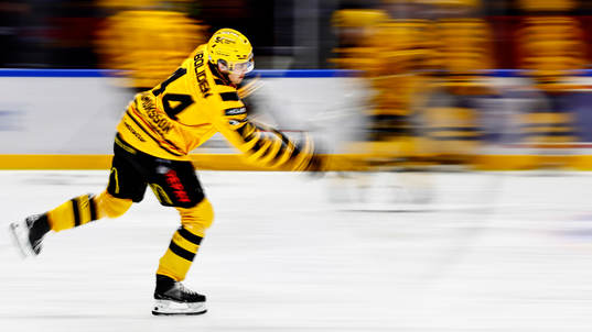 Skellefteås Elias Salomonsson