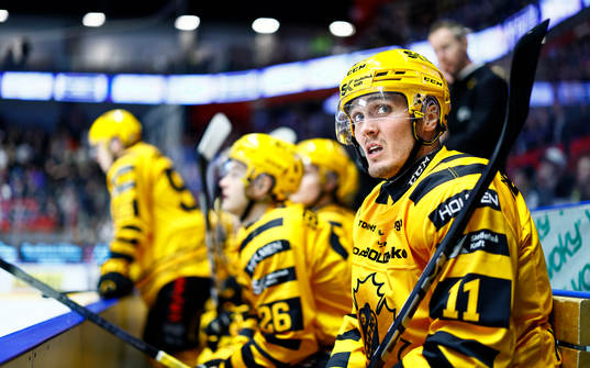 Skellefteås Max Lindholm