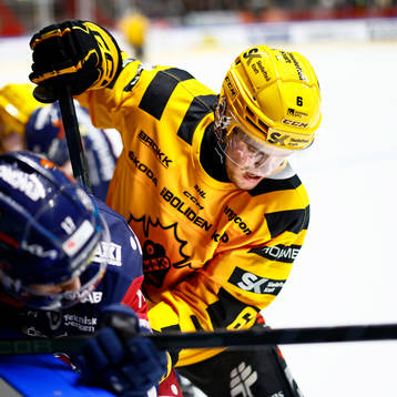 Skellefteås Måns Forsfjäll