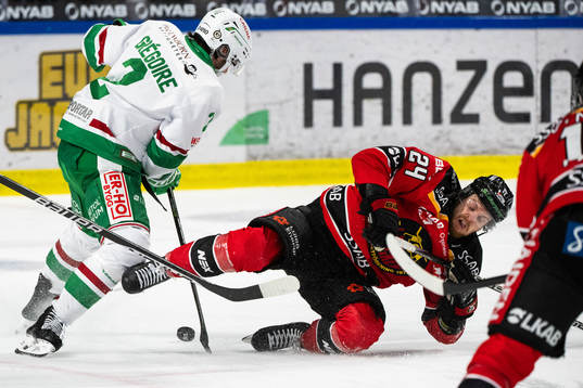 Luleås Brendan Shinnimin