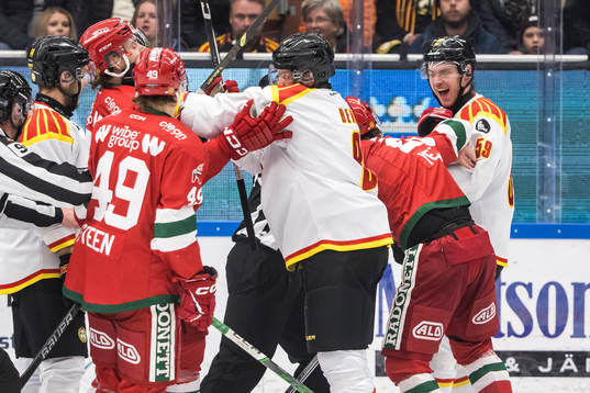 Brynäs Karlis Cukste