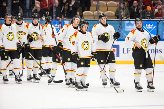 Brynäs spelarna deppar