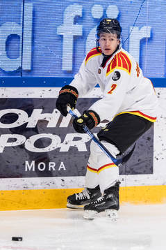 Brynäs Anton Johannesson