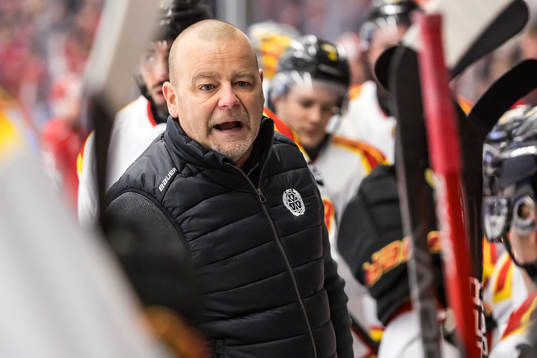 Brynäs huvudtränare Niklas Gällstedt