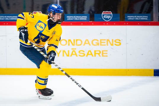 Dalarnas Tillie Ytfeldt