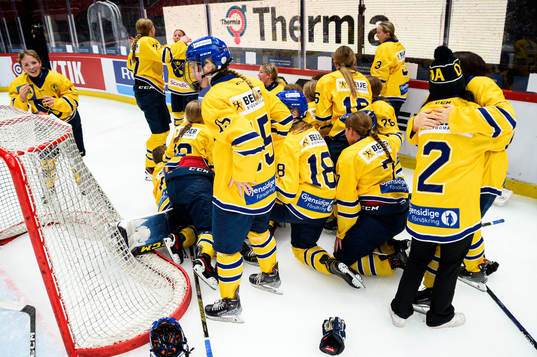 Dalarnas spelare jublar