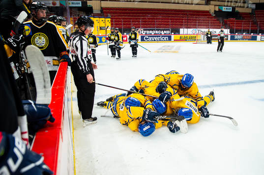 Dalarnas spelare jublar