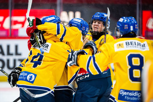 Dalarnas spelare jublar