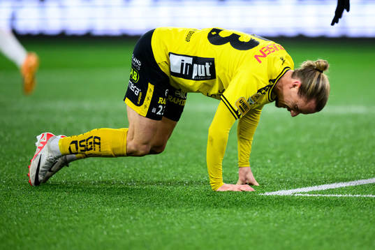 Elfsborgs Niklas Hult