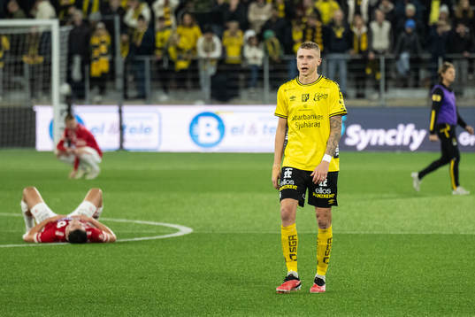 Elfsborgs Sebastian Holmen deppar
