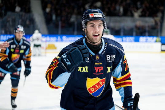 Djurgårdens Anton Gradin
