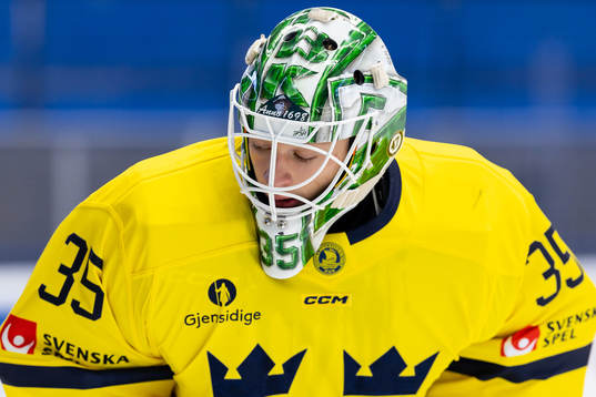 goalkeeper Carl Lindbom looks dejected