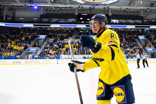 Marcus Sylvegård of Sweden celebrates