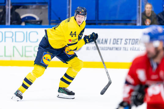 Victor Ejdsell of Sweden