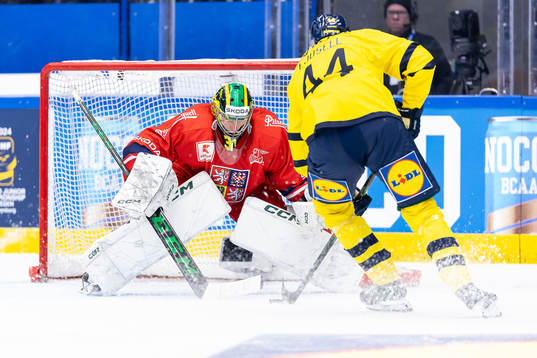 goaltender Jakub Málek of Czech Republic and Victor