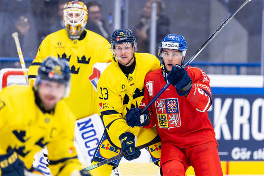 Niklas Hansson of Sweden and Radan Lenc of Czech Republic