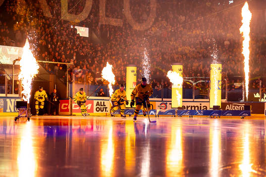 Players of Sweden