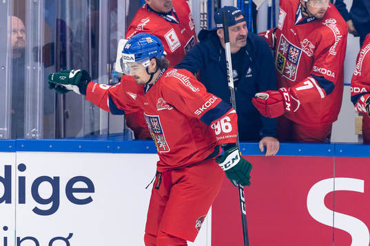 David Tomasek of Czech Republic celebrates