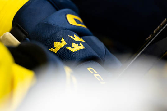 Hockey gloves of Swedish player