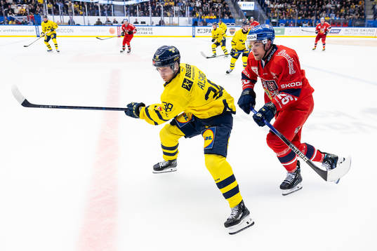 Olle Alsing of Sweden and Radan Lenc of Czech Republic