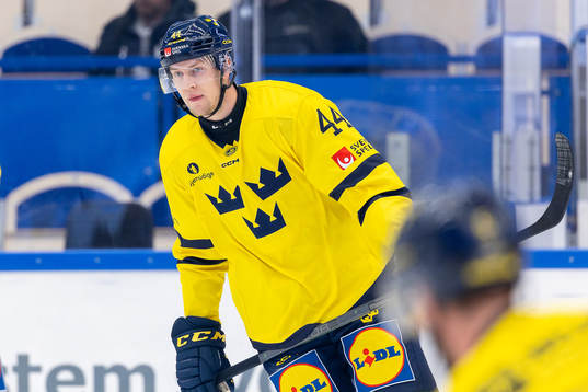 Victor Ejdsell of Sweden