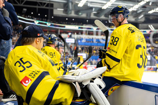 goalkeeper Carl Lindbom of Sweden and Olle Alsing looks
